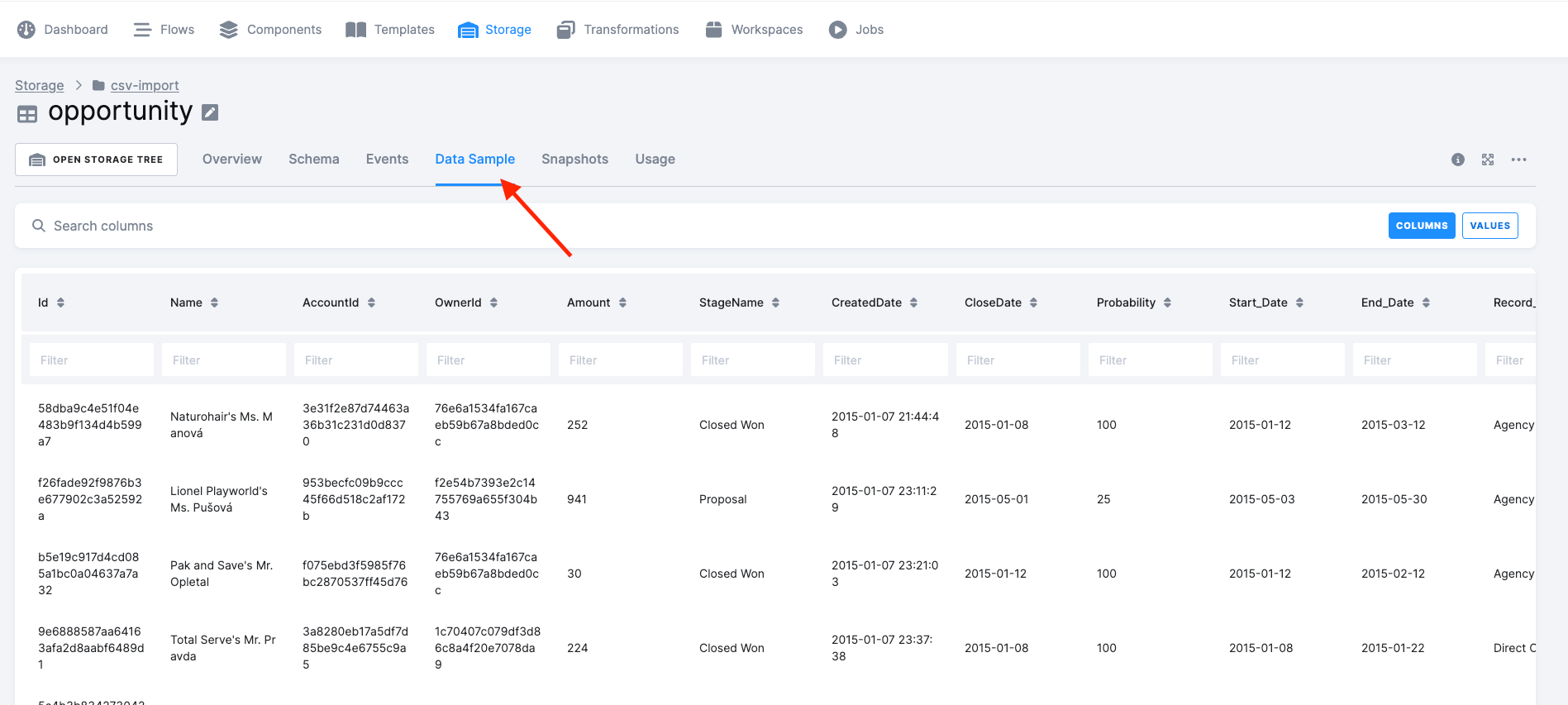 Screenshot - Table detail with data sample